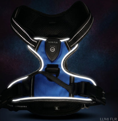LumiFur LED Glow Harness - LumiFur