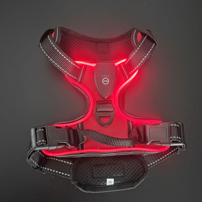 LumiFur LED Glow Harness - LumiFur