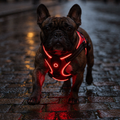 LumiFur Ultra-Bright Type-C Rechargeable LED Glow Harness