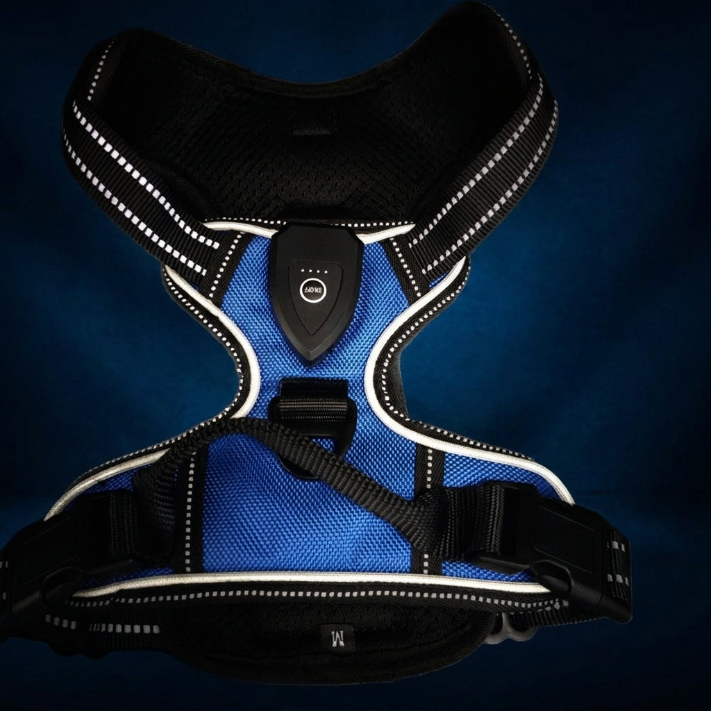 LumiFur LED Glow Harness - LumiFur